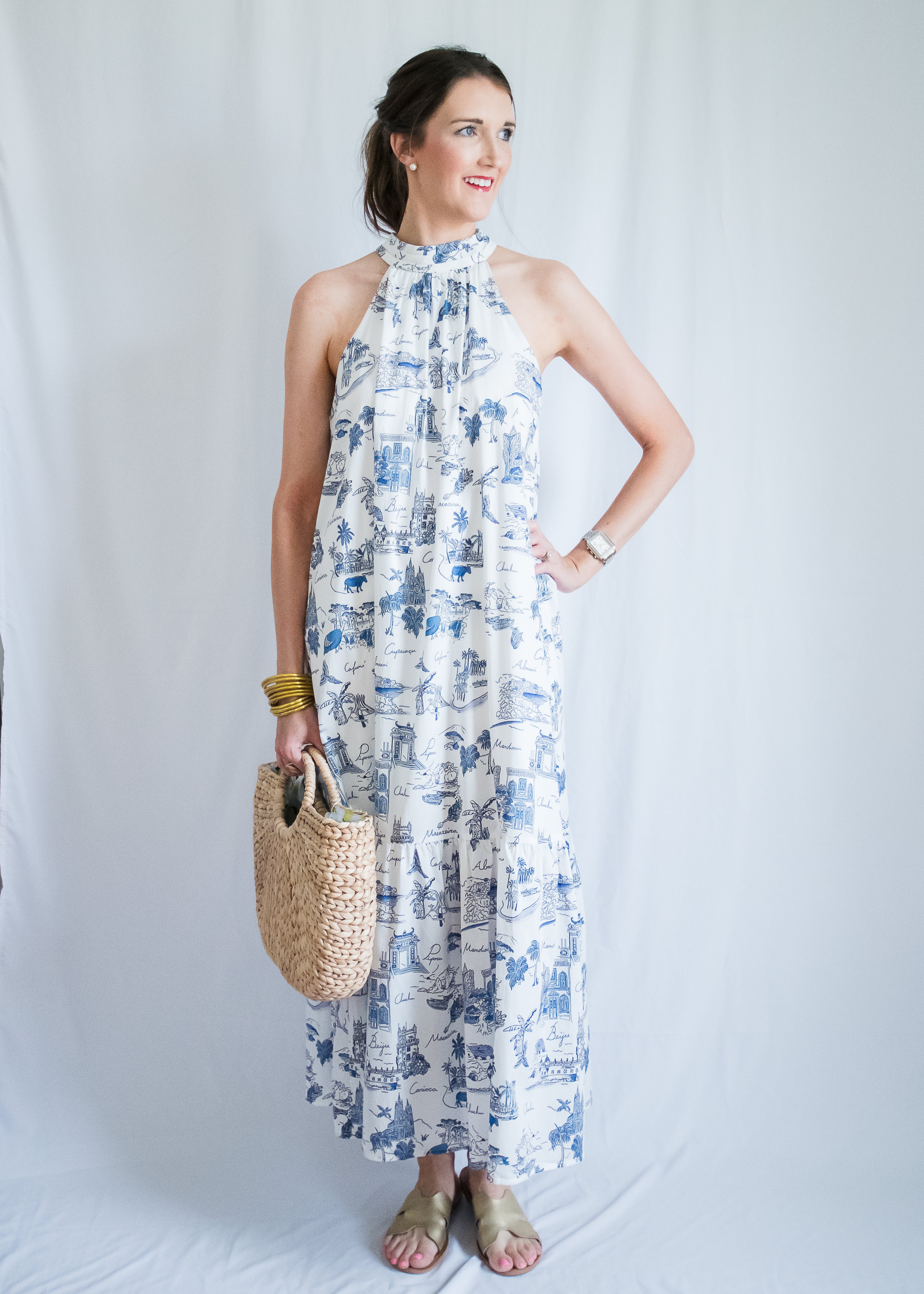 knee length dresses for ladies Diana Blue Toile Maxi Dress 2X main image 1